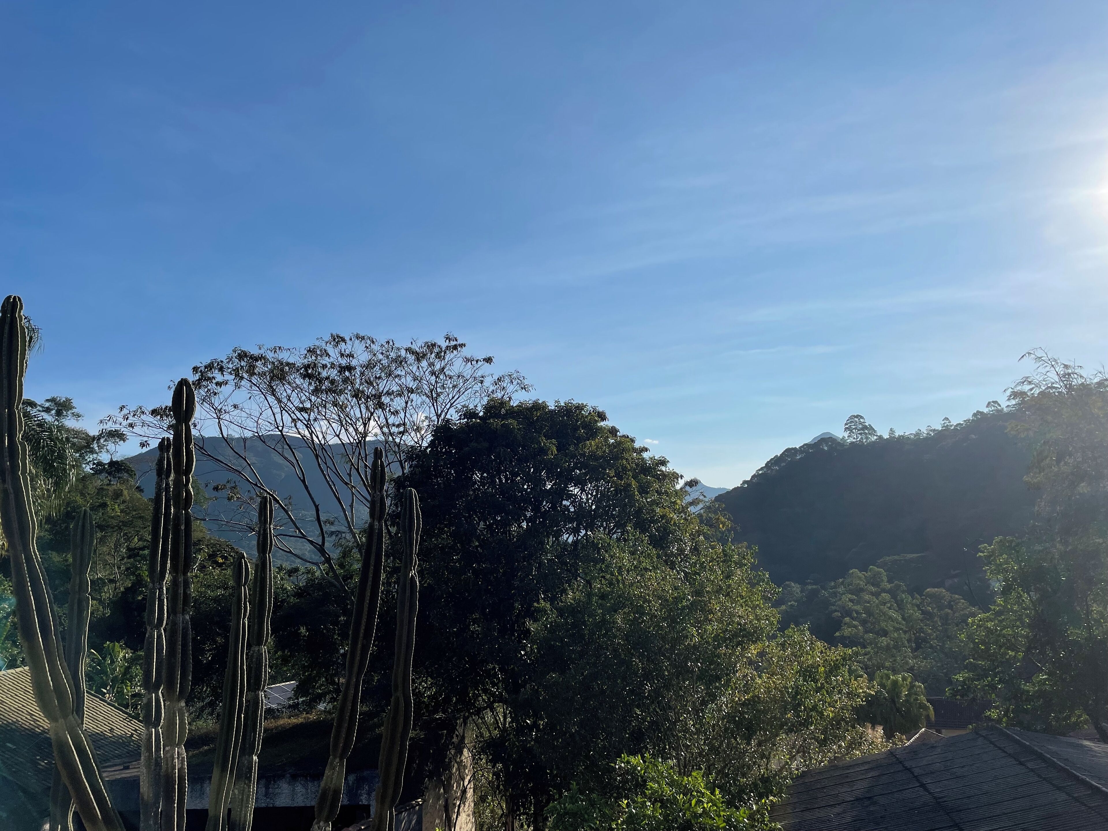 Un paisaje montañoso con cactus y árboles.