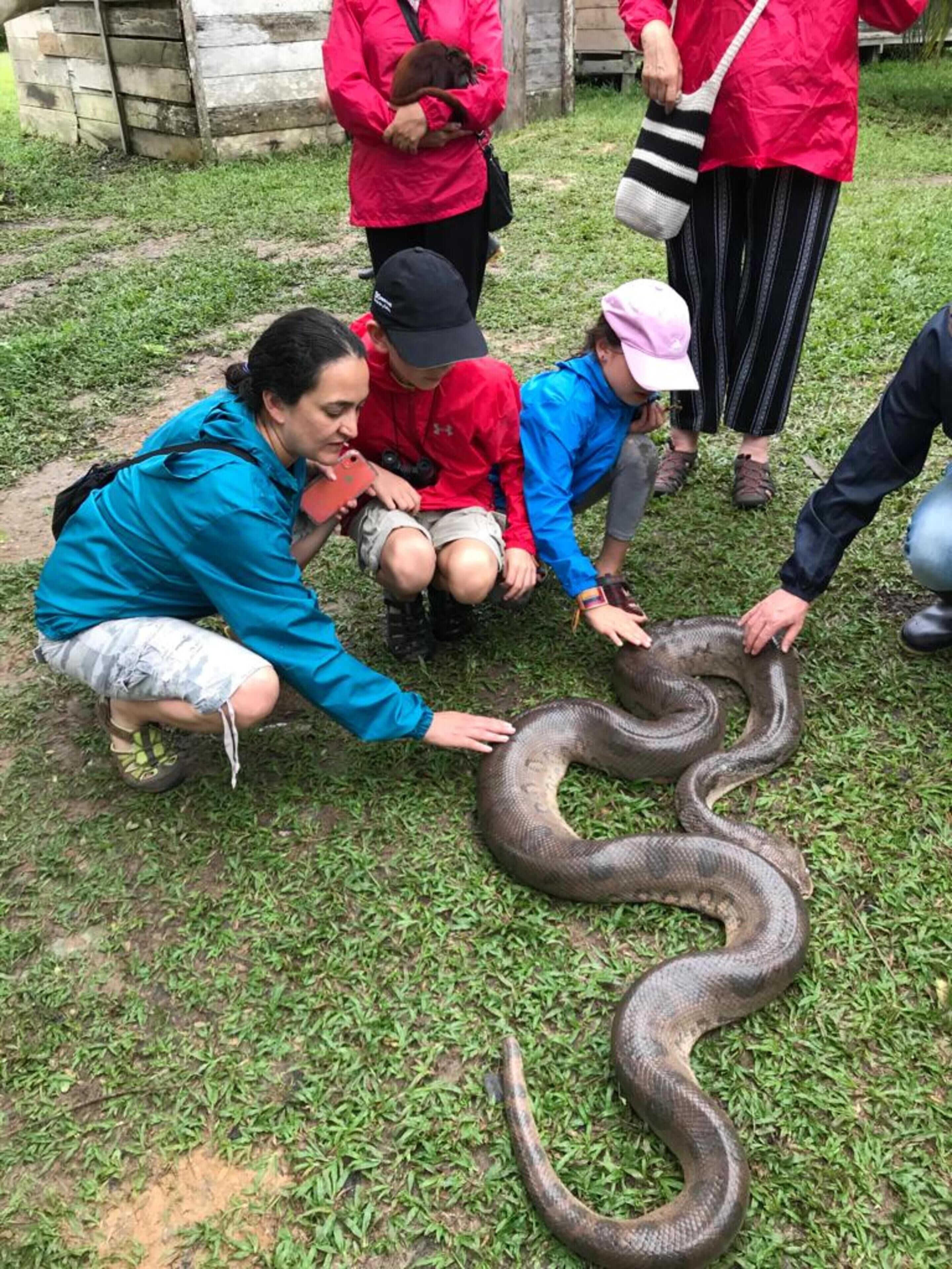 A group of people interacting with a large snake on grass.