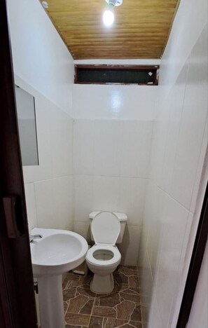 Bathroom features a pedestal sink and toilet.