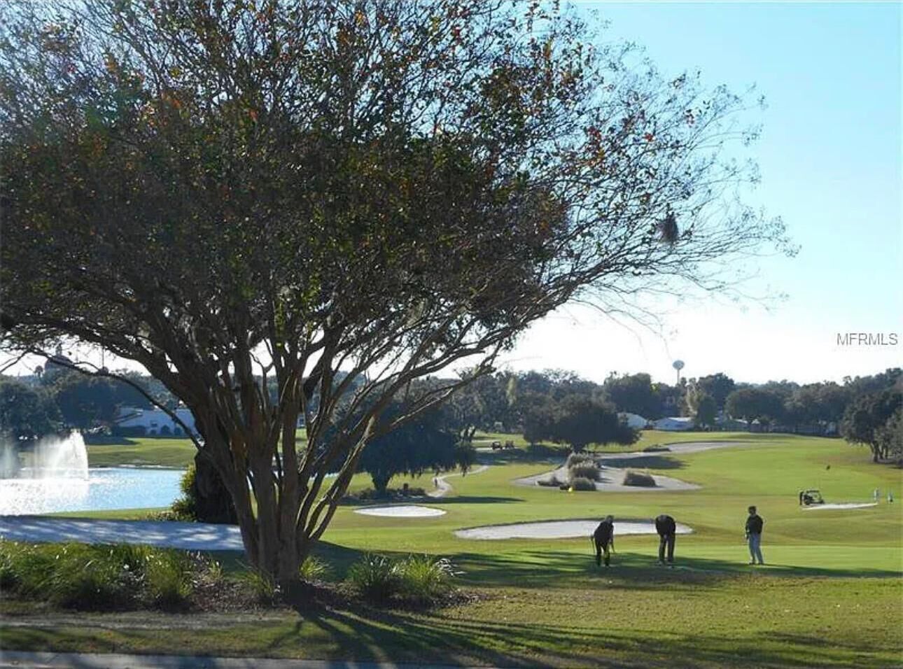 A golf course with a large tree, a pond, and a fountain.