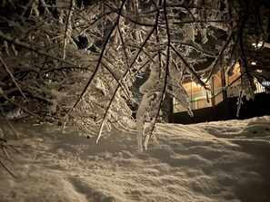 Property grounds - Songbird Estate (Cochecton)