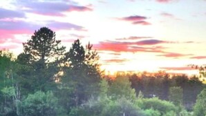A calm lake with trees reflecting the sunset. - Couple get away retreat in Red Feather Lakes!! (Red Feather Lakes)