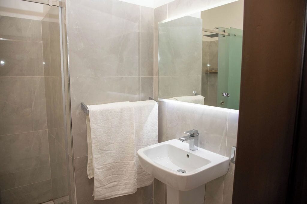 A modern bathroom with a glass shower enclosure, a white sink, and a large mirror.