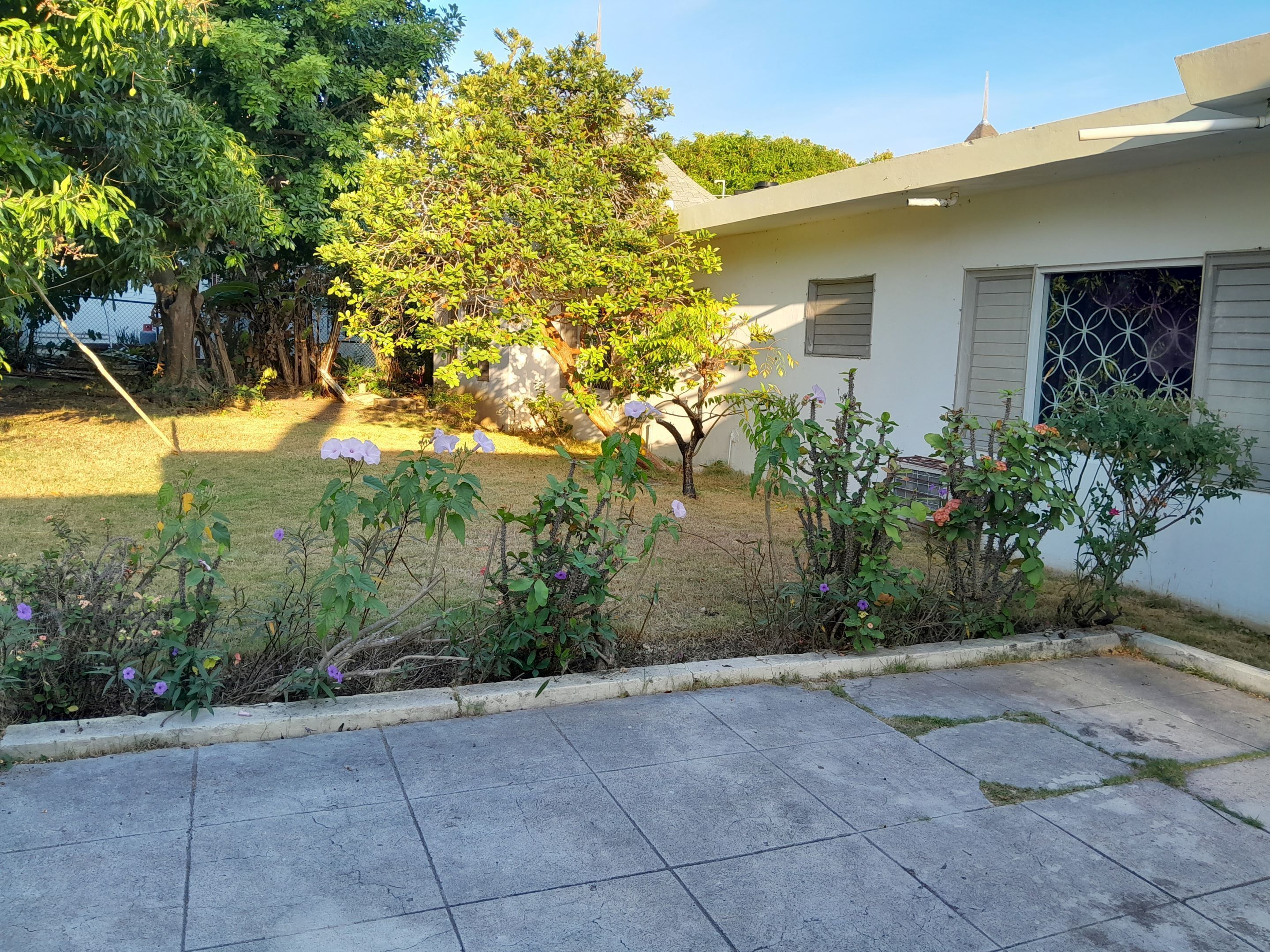 A residential property with a paved driveway, a lawn, and a variety of plants and flowers.