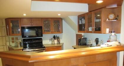 Large Open Basement Room with bathroom and Vegetarian kitchen