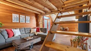 TV connectée, cheminée