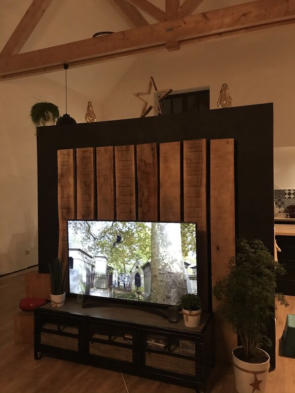 Ein Wohnzimmer mit einem großen Flachbildfernseher an einer Holzwand mit vertikalen Lamellen. Auf dem Boden stehen Blumentöpfe und vor dem Fernseher eine Bank.