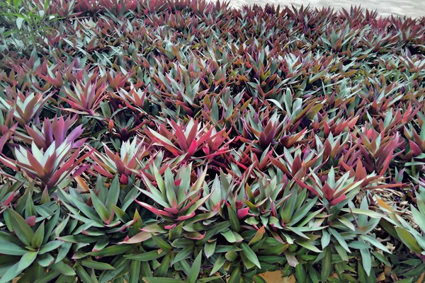 Zimmer, Mehrere Schlafzimmer, Stadtblick | Außenbereich