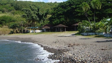 Ranta