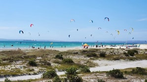 Ein Strand mit Menschen und Drachen.