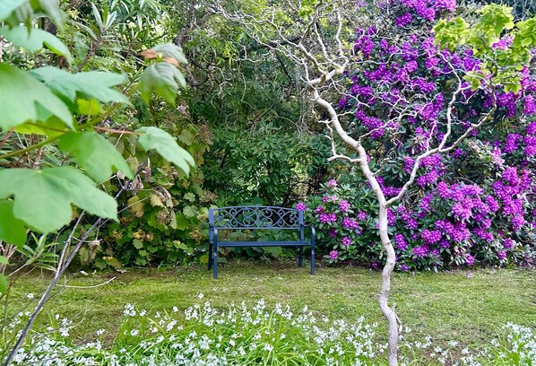 المنطقة المحيطة بالمنشأة