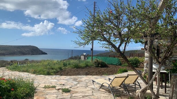 En stenbelagt terrasse med udsigt til havet, et træ og en stol.