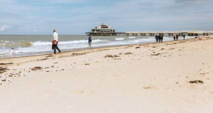 Oasi with parking and terrace by Interhome