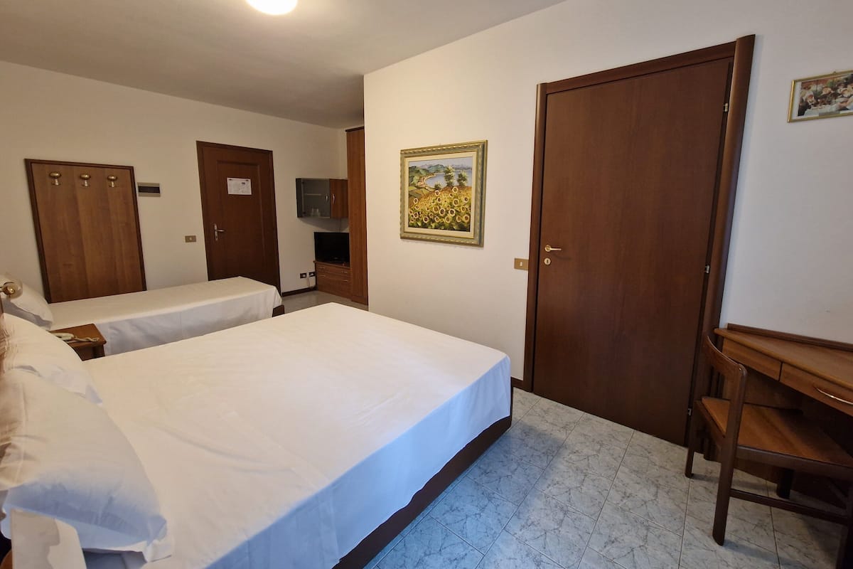 Standard Triple Room | Down comforters, desk, iron/ironing board, free WiFi
