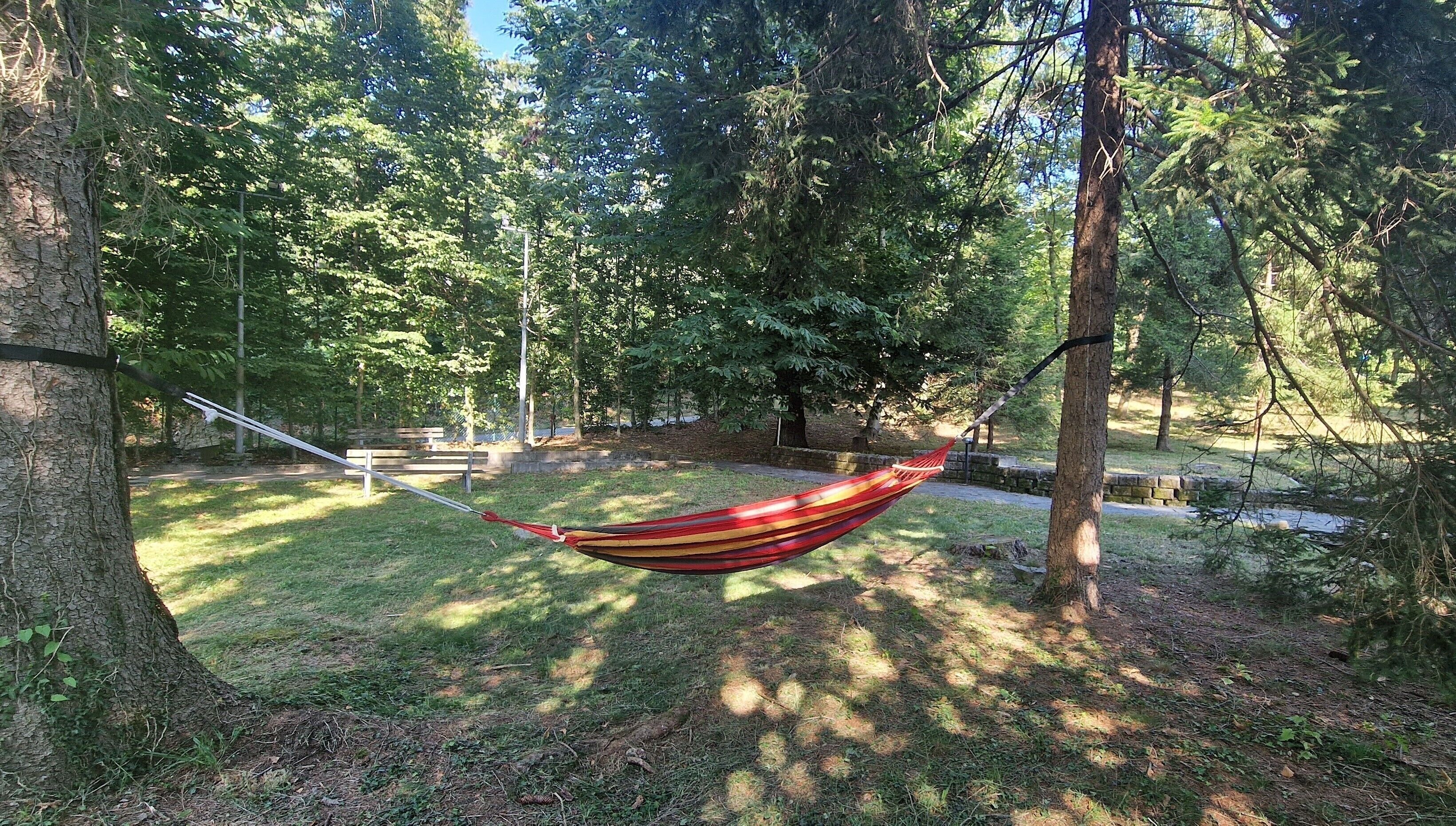 A hammock tied between trees in a wooded area with a bench and a stone wall in the background.