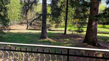 Chambre Double Panoramique, balcon, vue jardin | Terrasse/Patio