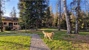 A house with a paved driveway and a grassy yard.