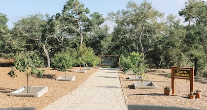 Wine Country Canyon Casita