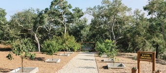 Wine Country Canyon Casita
