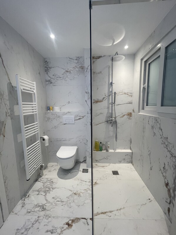 Shower, hair dryer, towels, soap
