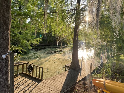 Beautiful New to Market! Spectacular views of the Withlacoochee! No steps 