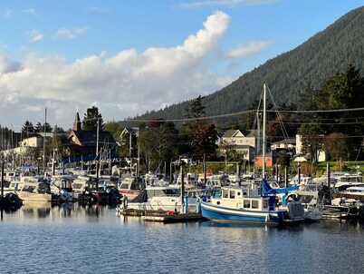 Stunning 5 Bedroom, 4 Bathroom Home Located Downtown