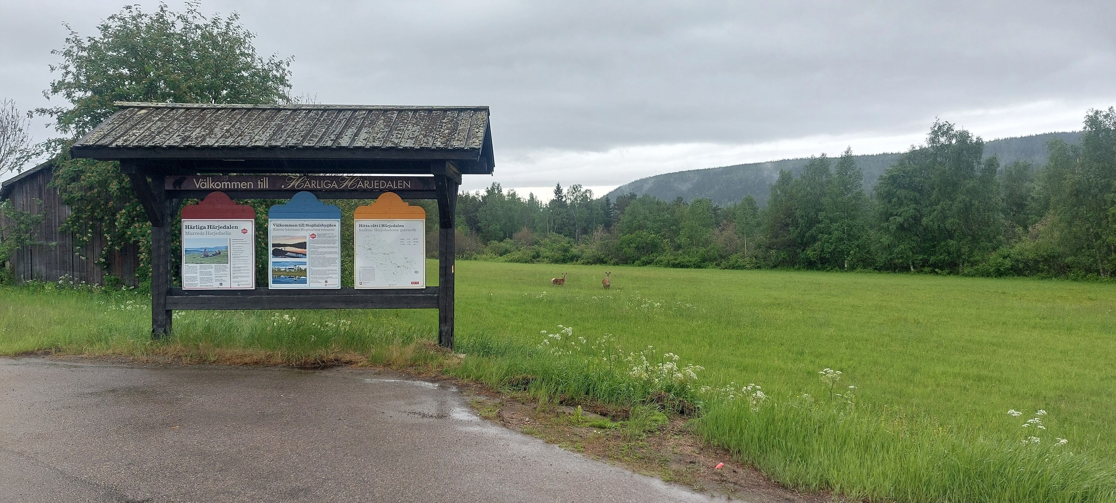 Un panneau d’information en bois, orné de plusieurs panneaux indicateurs, un champ d’herbe et, au loin, une colline boisée.