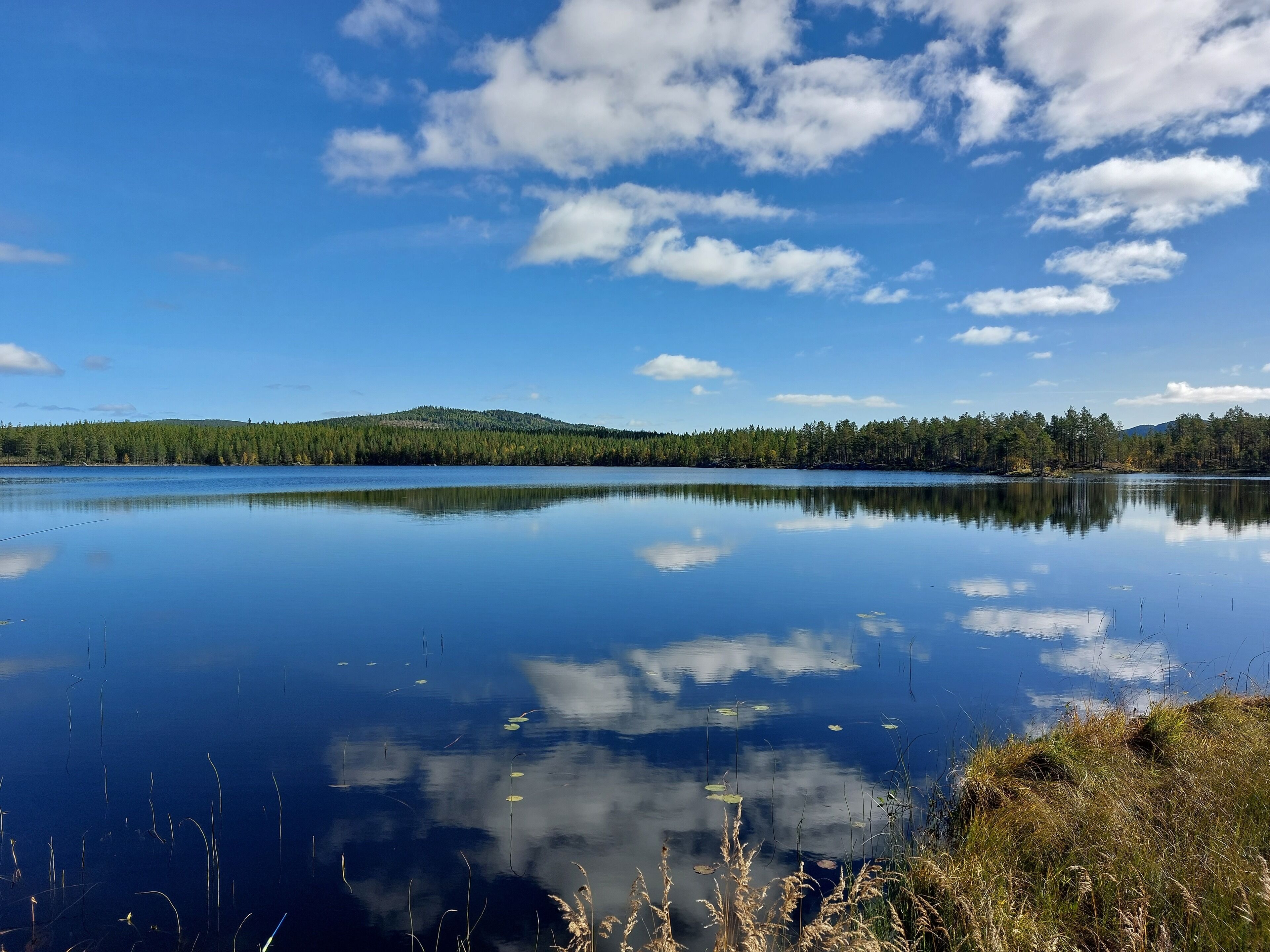 A calm lake with clear reflections of the sky and surrounding trees.
