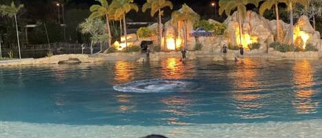 Indoor pool, outdoor pool