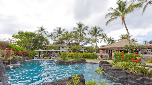 Un espace piscine aménagé dans un décor tropical, avec des palmiers et une structure surmontée d’un toit de chaume.