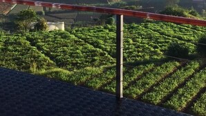 Vue sur des champs en terrasses et, au loin, une colline traversée par des lignes électriques.