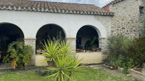 A courtyard with three arches, surrounded by potted plants and a palm tree. - An oasis of peace. (Gonnosnò)