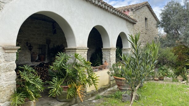 A stone building with three arches, potted plants, and a small tree in a garden area. - An oasis of peace. (Gonnosnò)