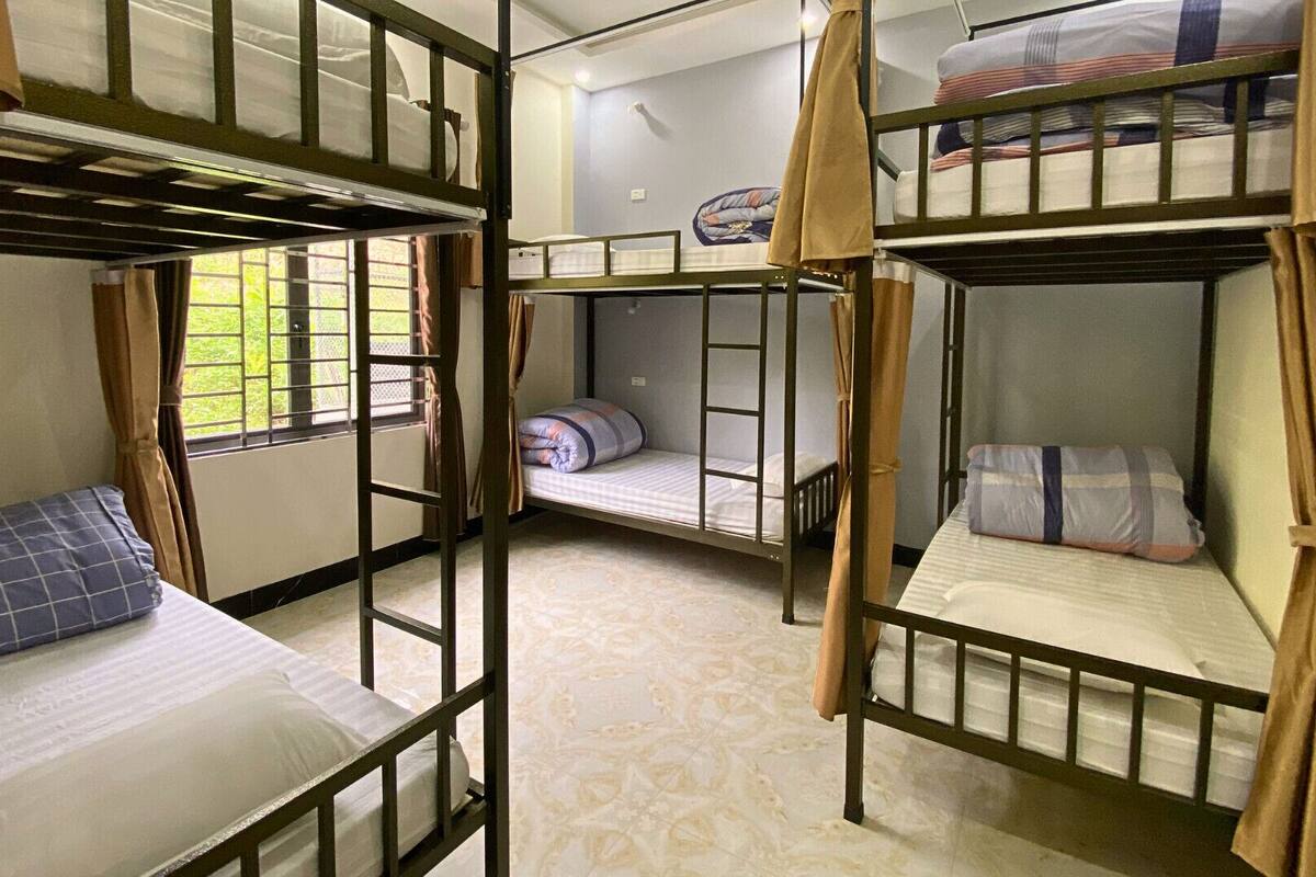 A dormitory-style room with bunk beds, a window with curtains, and a patterned carpet.