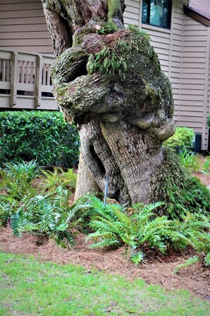 Exterior detail - Sea Palms Golf Course Lake view Multi Level property (Saint Simons Island)