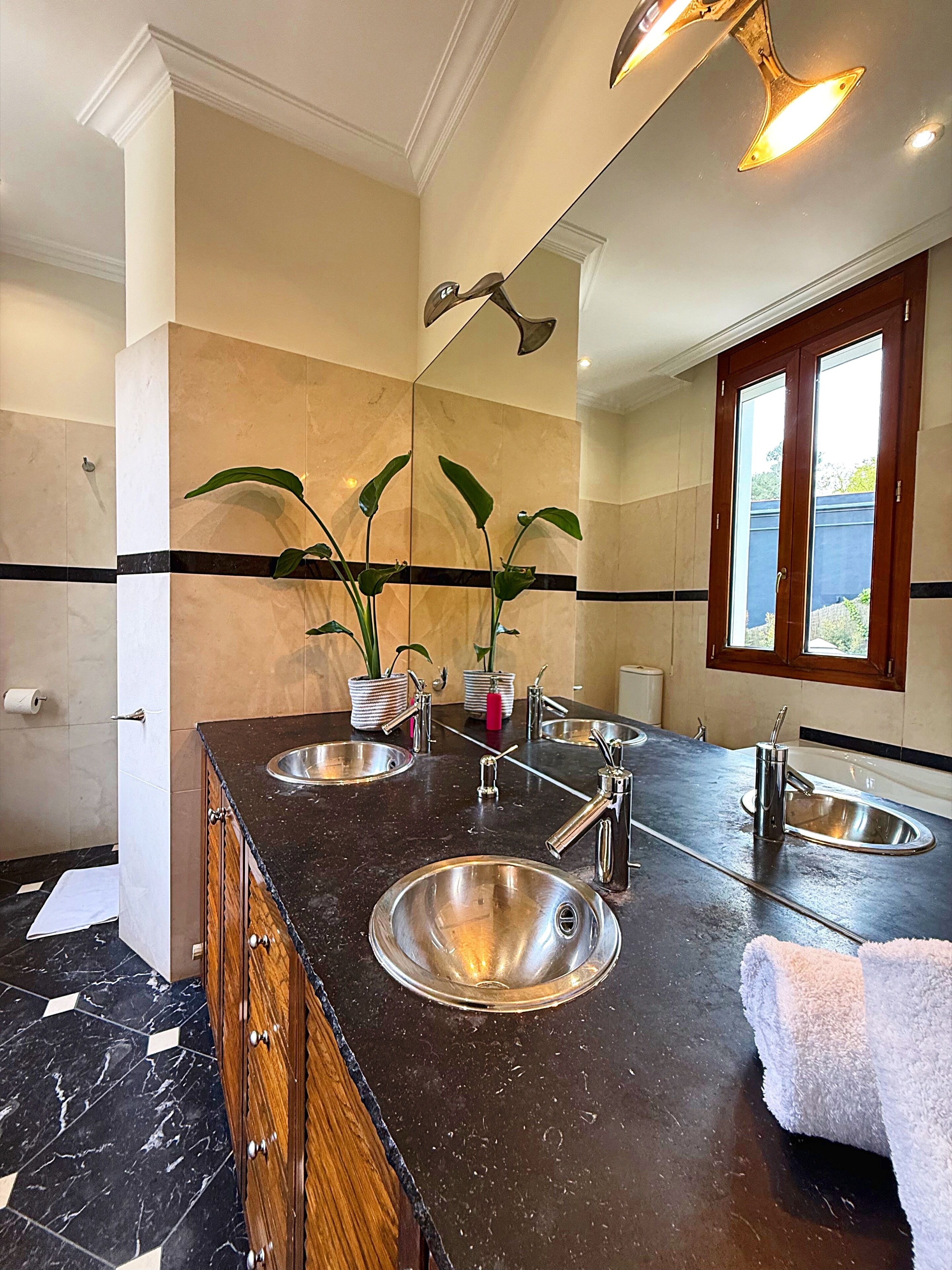 A bathroom with a large mirror, two sinks, a towel, and a potted plant.
