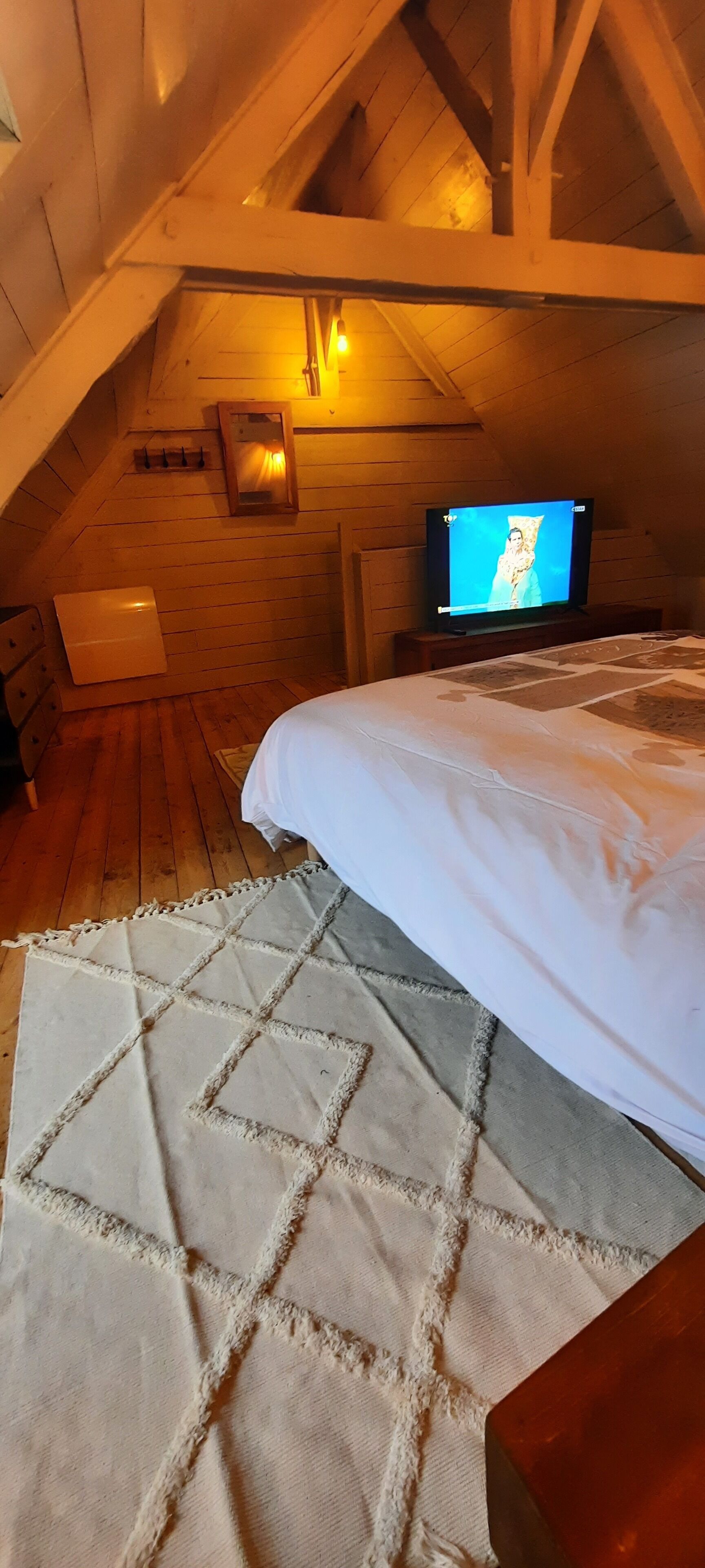 A cozy attic bedroom with a bed, a television, and a wooden ceiling.
