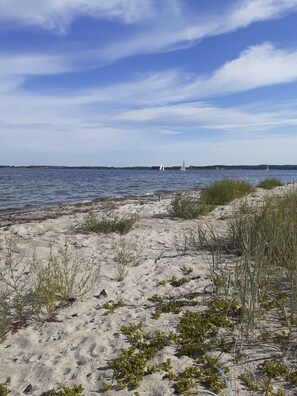 A sandy beach with sparse vegetation and a calm sea. - Rooms with a private entrance leading directly to the coast (Gråsten)