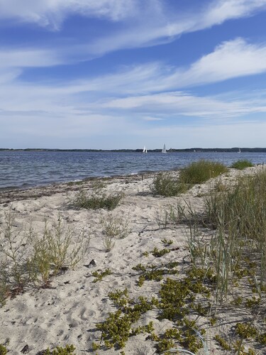 Room with own entrance directly to coast
