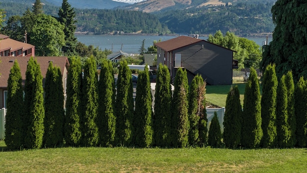 Un quartier résidentiel avec des maisons, une montagne et un lac.