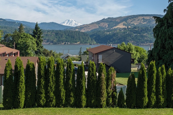 Premium bedding, individually decorated, individually furnished, desk