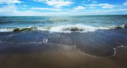 Brand New Walk Out Bsmt Apt Near Beach