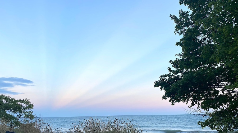 Brand New Walk Out Bsmt Apt Near Beach