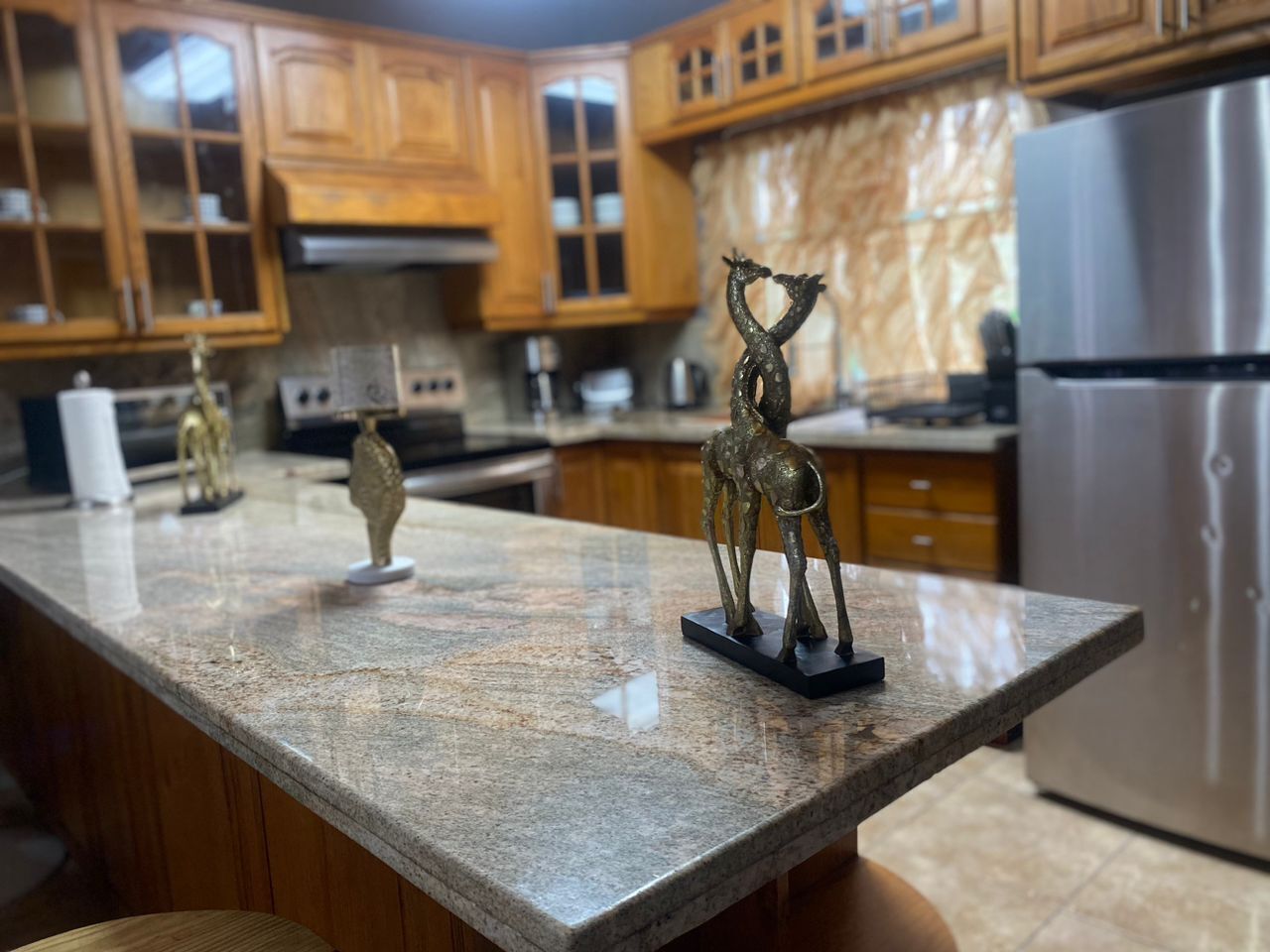 Fridge, oven, stovetop