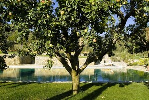 A heated pool - Villa Noce in most Exclusive Borgo in Tuscany (Pian di Sco)