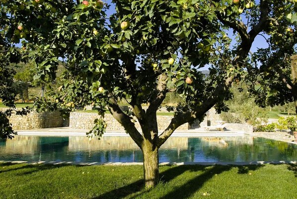 Piscine chauffée