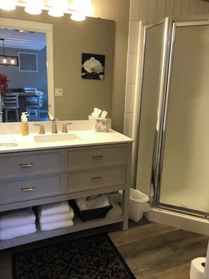 Shower, hair dryer, towels, soap