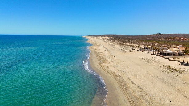 A beach with a clear view of the ocean, a sandy shoreline, and a row of buildings with palm trees. - "I have traveled the world and this is the best beach I have ever seen" (La Ribera)
