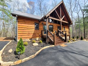 Exterior - Incredible firepit, luxurious cabin, indoor&outdoor fireplaces. Minutes to town. (Morganton)