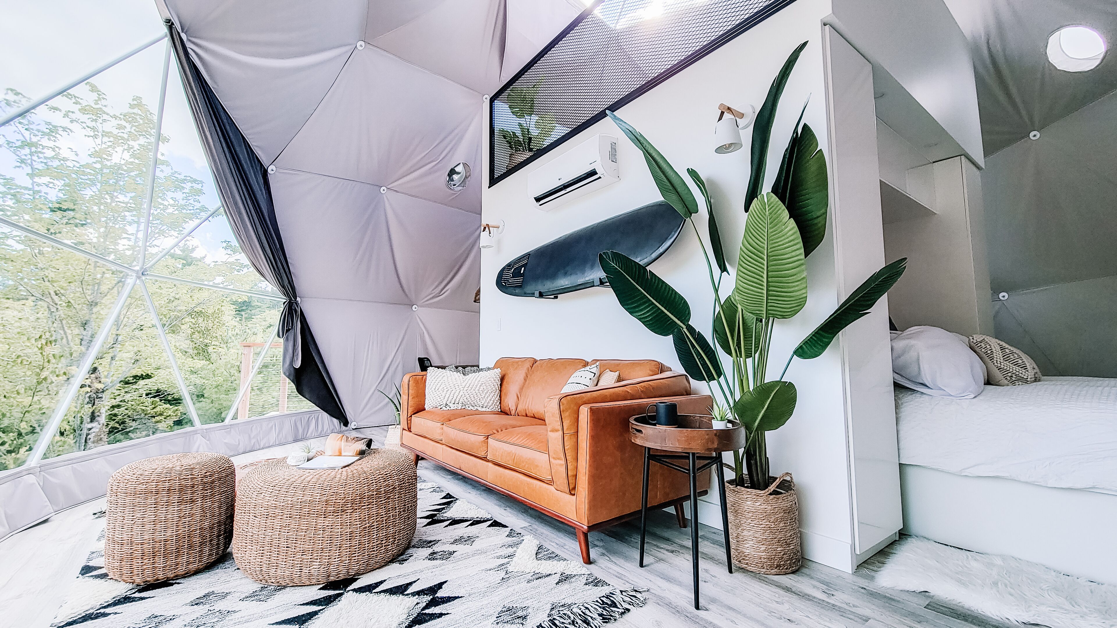 A modern living space with a large window, a sofa, a coffee table, and a potted plant.